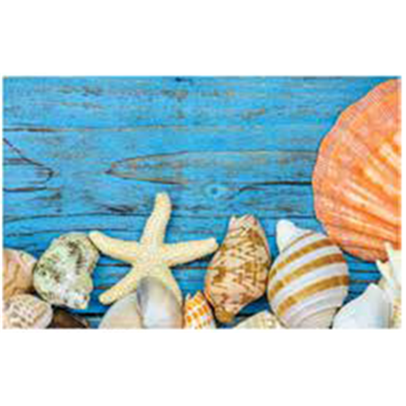 Килимок Таба 50х80 мушлі на блакитному