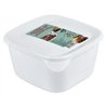 Контейнер для холодца 0,8л квадратный ПБ-260 15х15х5,5см белый