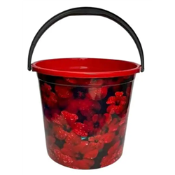 Відро  4,5л ПГ-1012 з малюнком 